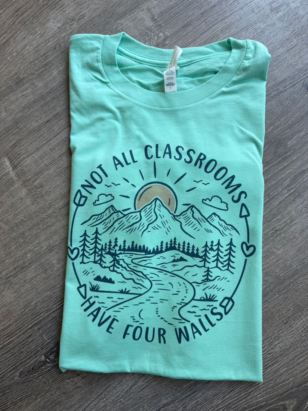 Not All Classrooms Have Four Walls Tee